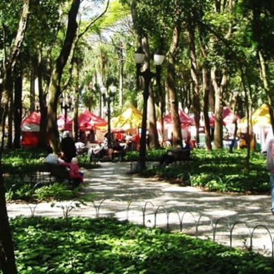 Próximo a parque_4